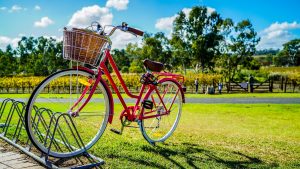 röd cykel i park